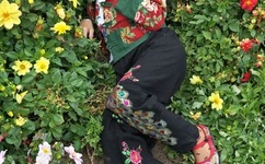 韩国电影朋友1如何观看